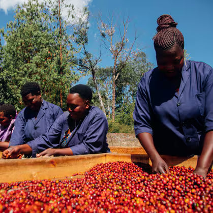 TANZANIA MBEYA MWANGOKA
