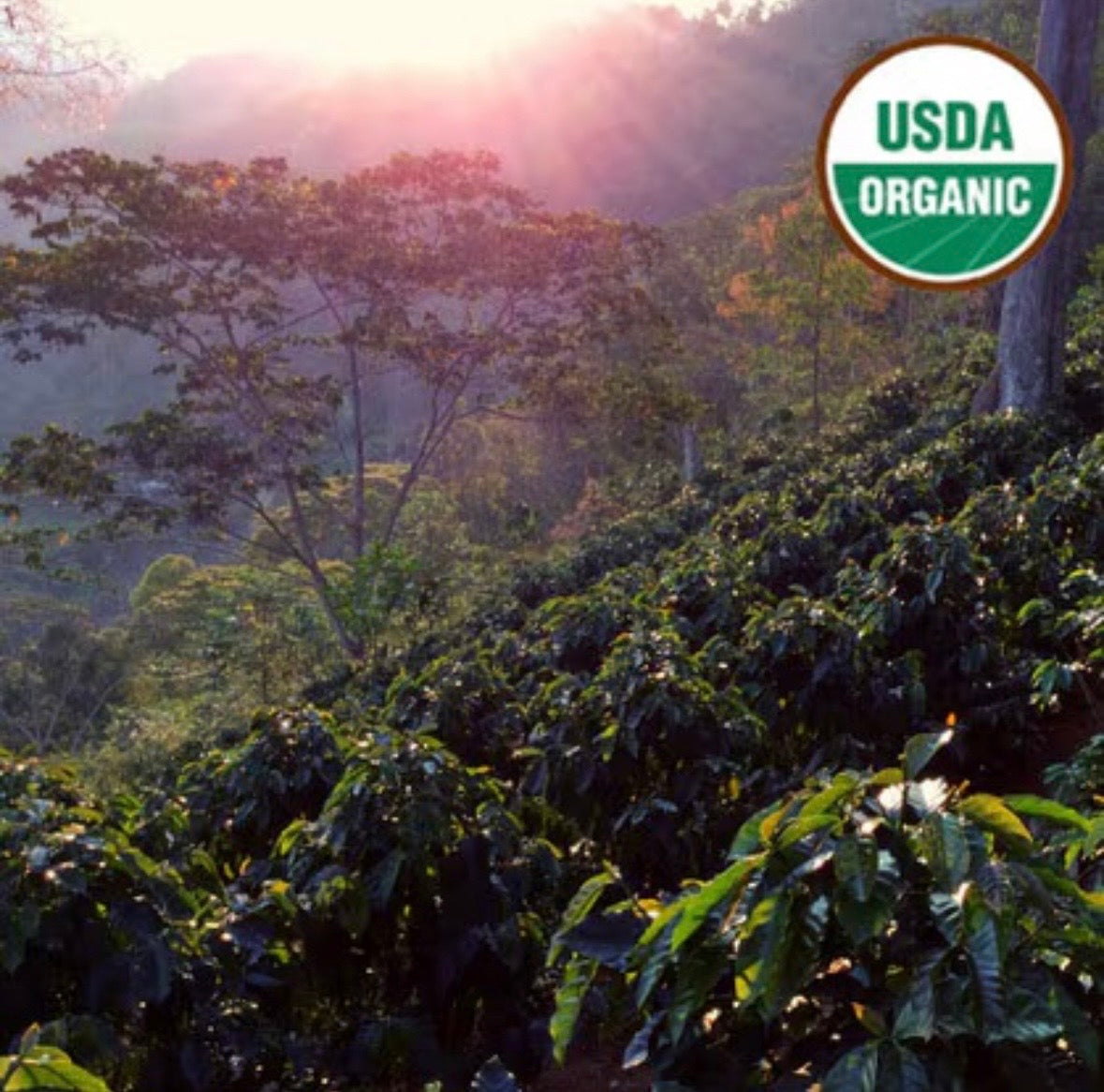 Peru Cajamarca farm picture with USDA Organic logo