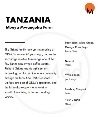 TANZANIA MBEYA MWANGOKA
