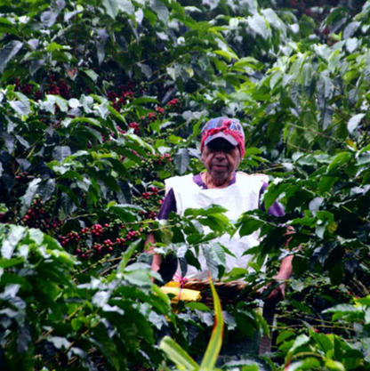 Nicaragua La Bastilla