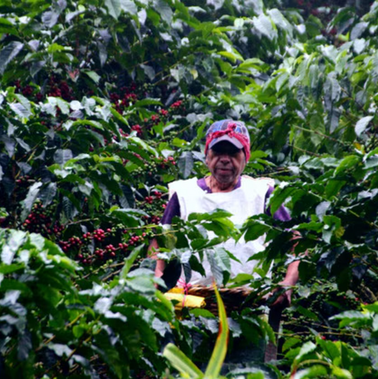 Nicaragua La Bastilla